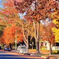 Is modesto worth visiting?