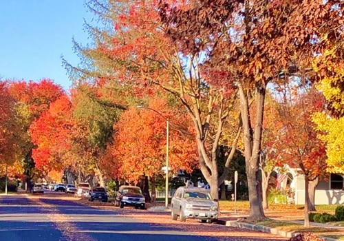 What's in modesto california?